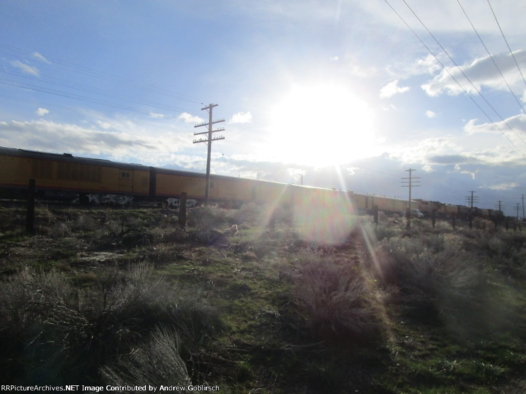 UP 4014, 809, 844, 814, 8937 + 4 of 9 Coaches